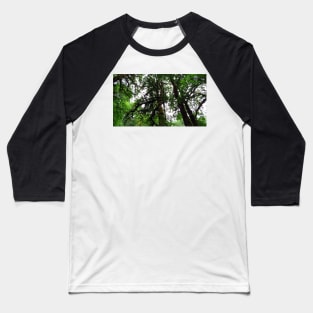 Silver Falls State Park Oregon Baseball T-Shirt